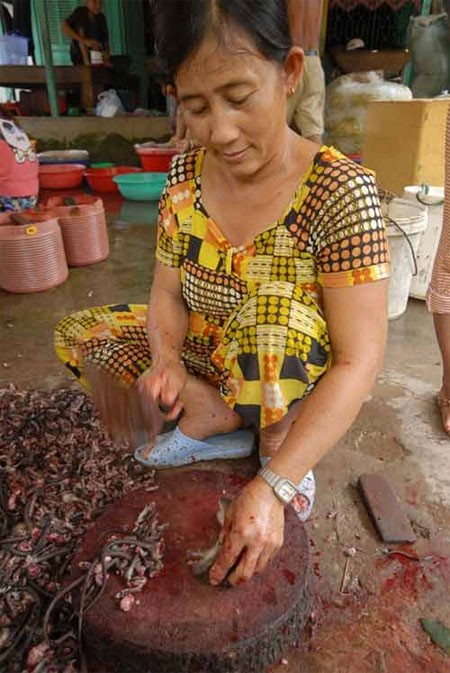 Người phụ nữ này ở xóm chuột Châu Phú – An Giang "có tiếng" khi mỗi ngày chặt đầu, lột da trên 1.000 con chuột để lấy tiền công 80.000 đồng/ngày.